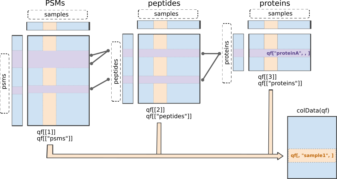Illustration of the `QFeatures` data class.