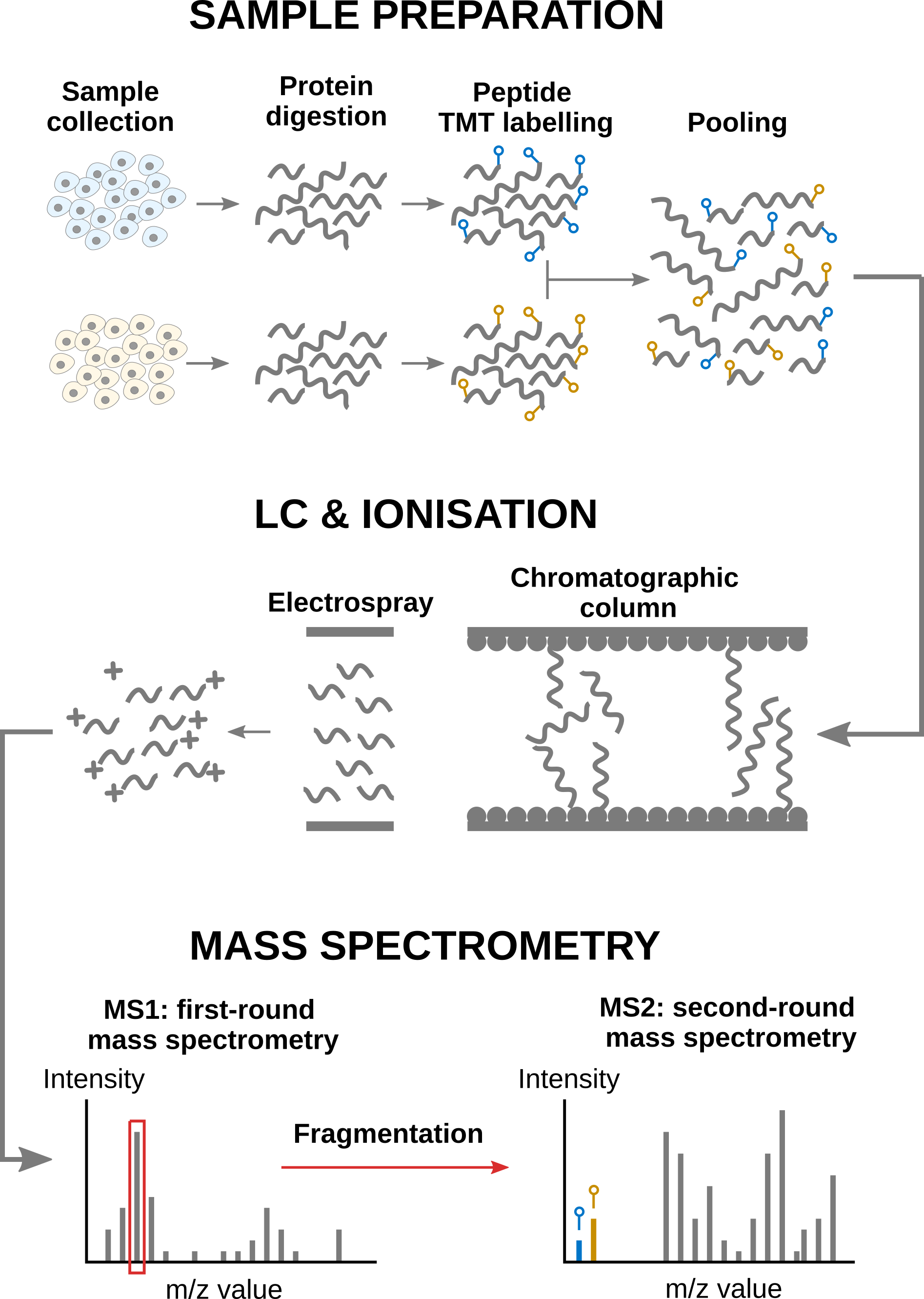 Overview of an MS-based proteomics workflow.