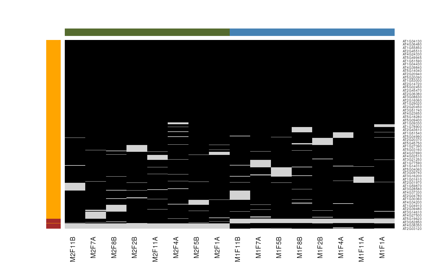 Mixed imputation method. Black cells represent presence of quantitation values and light grey corresponds to missing data. The two groups of interest are depicted in green and blue along the heatmap columns. Two classes of proteins are annotated on the left: yellow are proteins with randomly occurring missing values (if any) while proteins in brown are candidates for non-random missing value imputation.