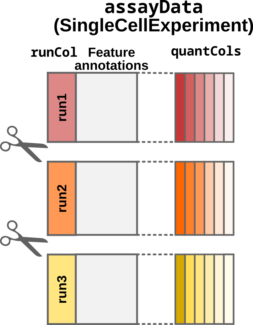 Step2: Split by acquisition run